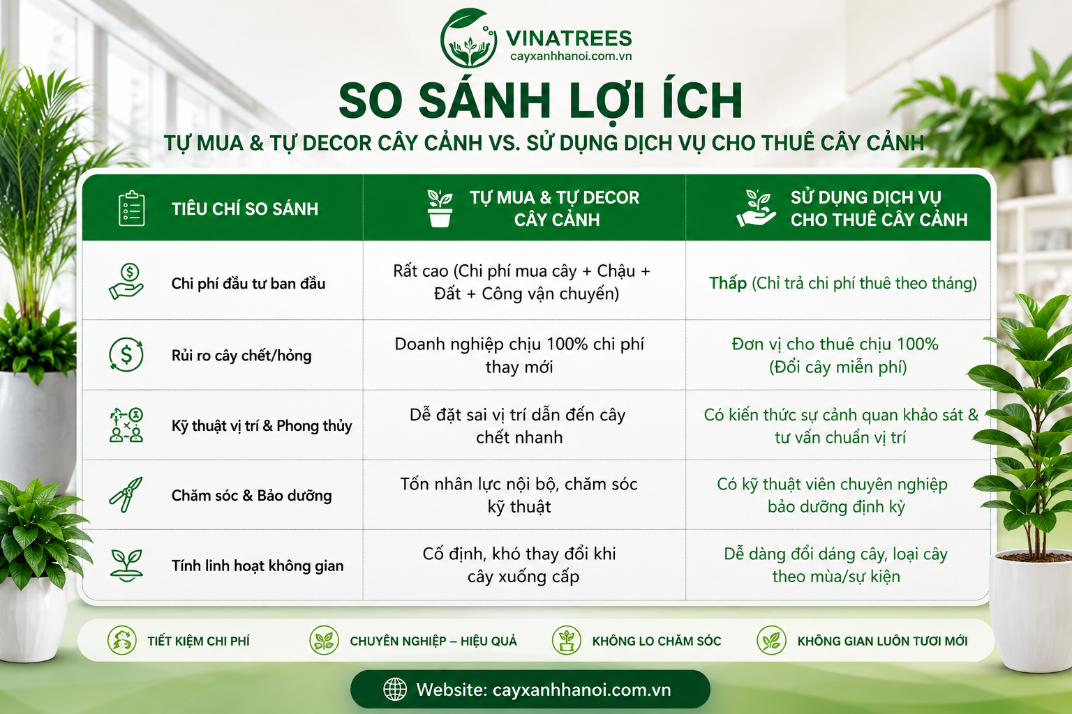 Bảng so sánh lợi ích tự mua và cho thuê cây cảnh văn phòng
